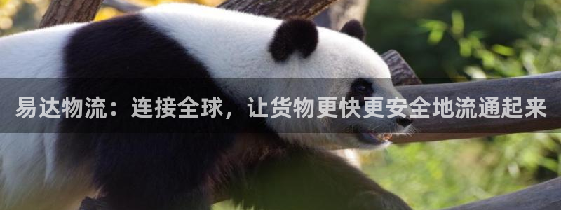 旺财28分分28输了能不能退：易达物