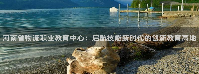 旺财28官网开奖结果预测查询：河南省