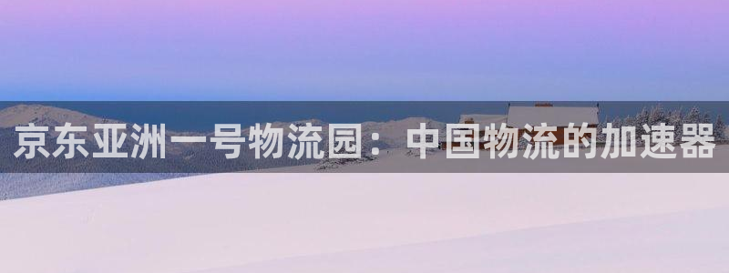 旺财28登录用户名登录不上：京东亚洲