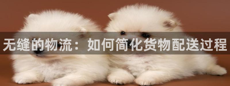 加拿大旺财28是什么：无缝的物流：如