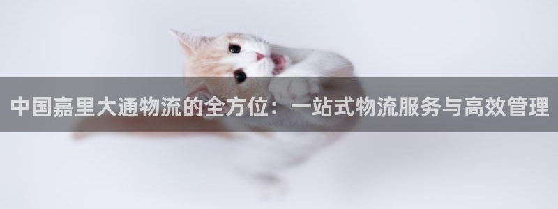 旺财28娱乐官网网页入口