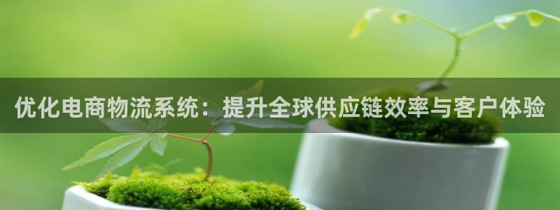 旺财28官方网站：优化电商物流系统：