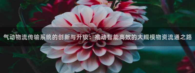 旺财28推广链接是多少粉丝：气动物流