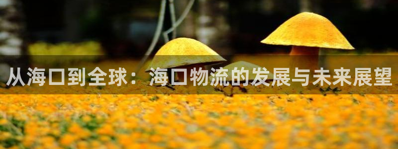 旺财28官网版所有版本
