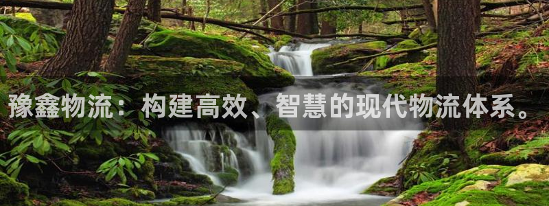 旺财28南宫娱乐官网：豫鑫物流：构建