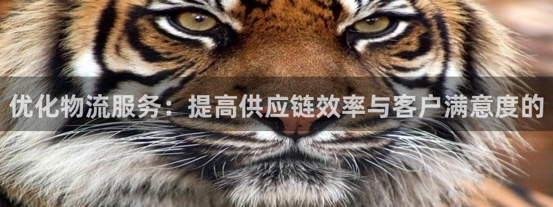 旺财28注册：优化物流服务：提高供应