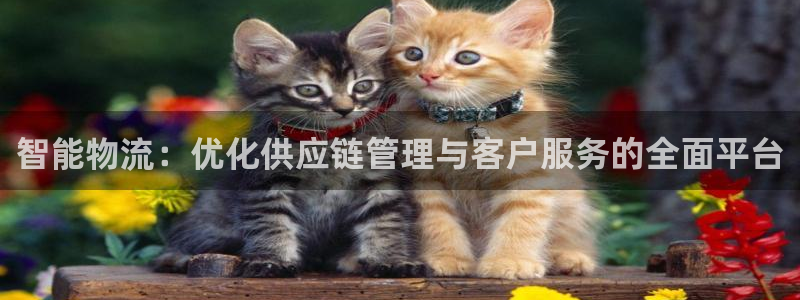 旺财28如何看012路计划