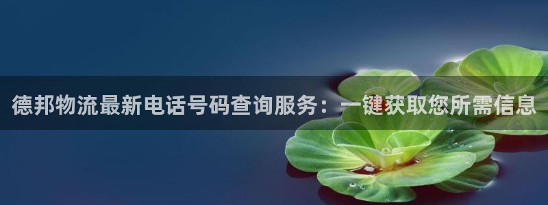 旺财28官网入口pc29官网版：德邦