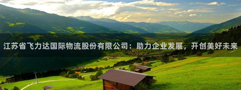 旺财28官方网站预测：江苏省飞力达国