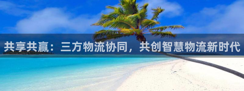 旺财28如何退款：共享共赢：三方物流协同，共创智慧物流新时代