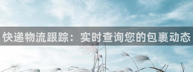 旺财28官网入口南宫：快递物流跟踪：