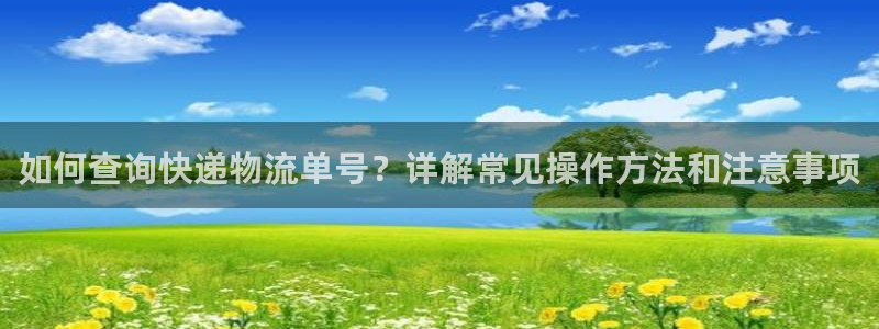旺财28官网入口pc29官网版下载：