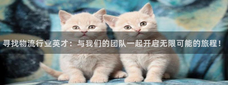 加拿大旺财28数字规则：寻找物流行业