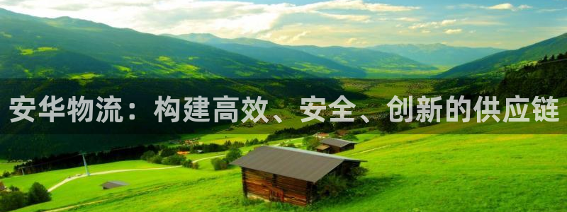 旺财28加拿大模拟器：安华物流：构建