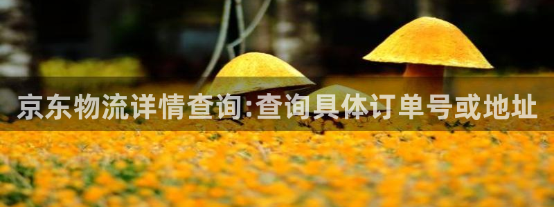 旺财28电子游戏：京东物流详情查询: