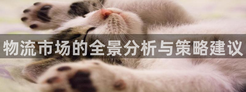 旺财28官网下载链接怎么弄：物流市场
