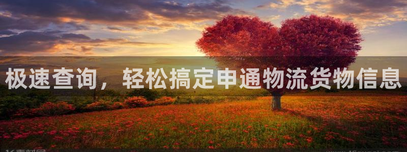 旺财28黑吗：极速查询，轻松搞定申通