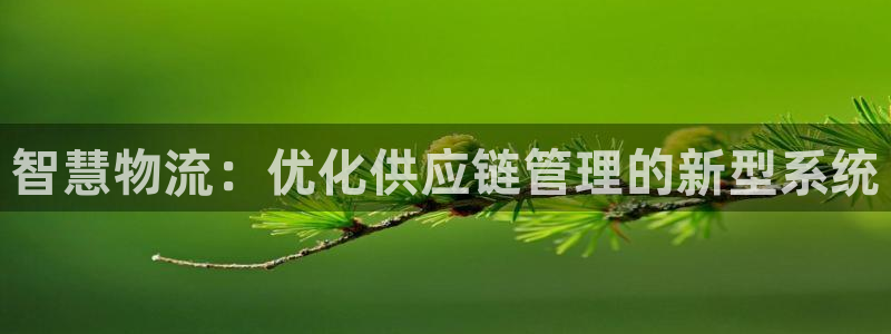 旺财28反水