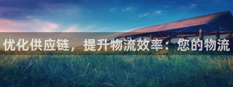 旺财28分分压单双技巧：优化供应链，