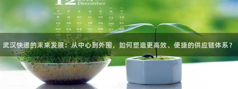 旺财28注册教程:武汉快递的未来发展