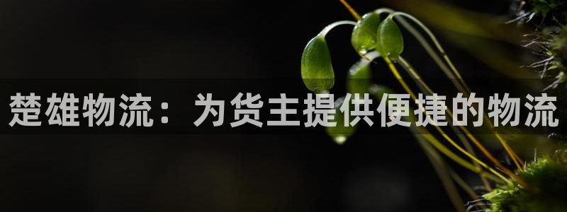 旺财28黑吗:楚雄物流:为货主提供便