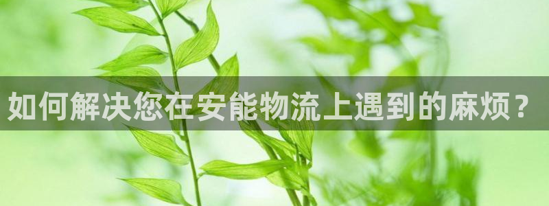 旺财28ip被限制怎么解决:如何解决