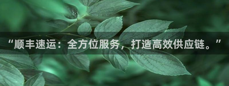 旺财28下载体育:“顺丰速运:全方位