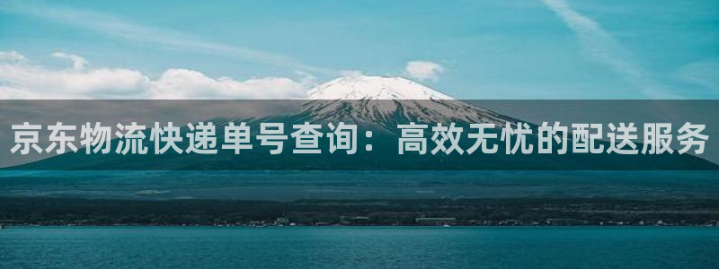 旺财28怎么注册游戏名字:京东物流快