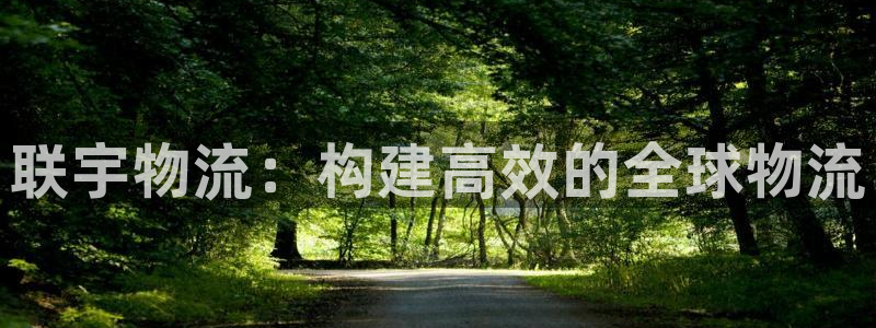 旺财28那个才是充值账号:联宇物流: