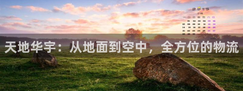 旺财28官网入口pcios:天地华宇