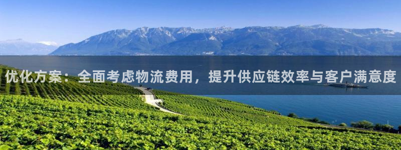 旺财28ccm游戏:优化方案:全面考