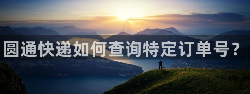 旺财28官网入口正版:圆通快递如何查